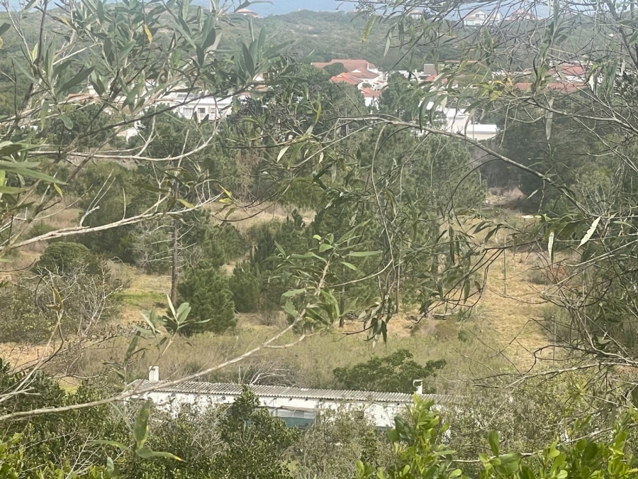 Commercial Property for Sale in Keurbooms Western Cape